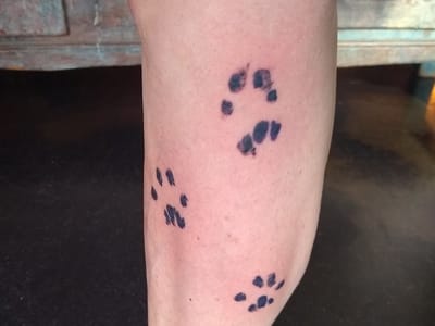 Evolved Arts Tattoo Studio