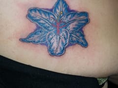 Expressions Tattoo & Body Piercing