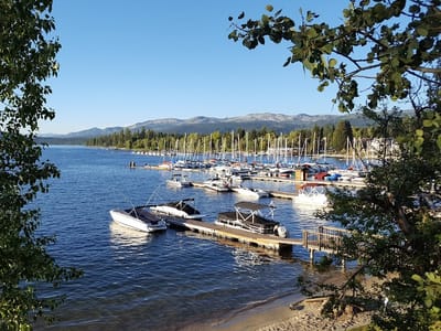 Eye Of The Owl Art Tattoo