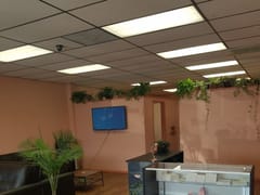 Fetch! Body Piercing