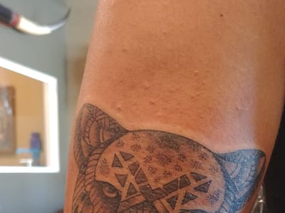 Florida Velvet Tattoo