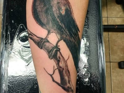 Flying Daggers Tattoo Parlor