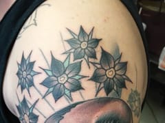 FN Classy Tattoo Body Piercing