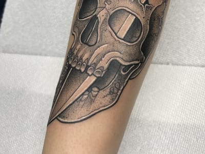 Foolish Pride 2 Tattoo Co.