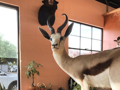 Fourth Street Tattoo