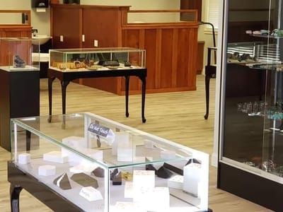 Gallery X Art Collective