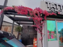 Geegee’s ink tattoo shop