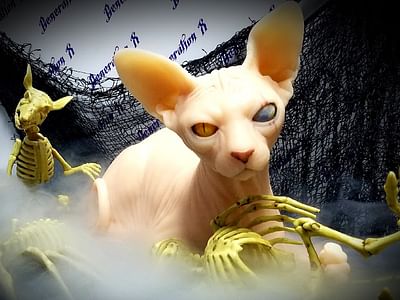 Generation X Tattoos and Piercings