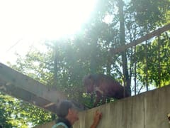 Glen Arts Studio Inc