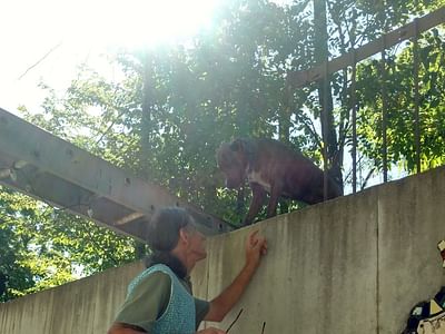 Glen Arts Studio Inc