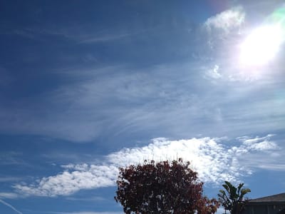 Gold Coast Tattoo Parlour