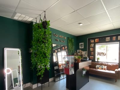 Håle Tattoos (Prívate Studio)