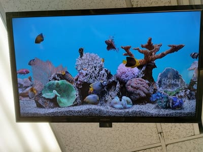 HardLines Tattoo & Design