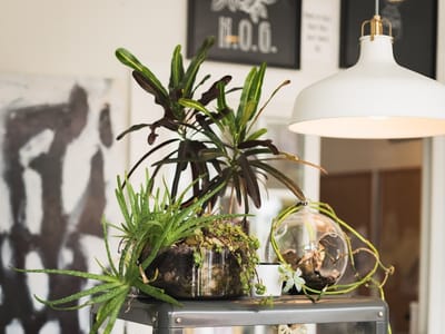 Heart of Gold Body Arts