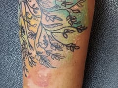 High Caliber Tattoo and Piercing Studio