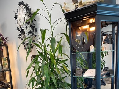 High Plains Adornment