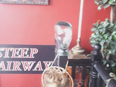 High Roller Tattoo Studio