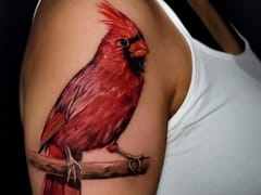 hole in the wall tattoo studio