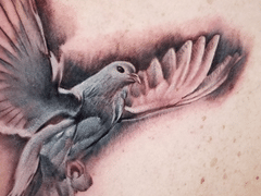 Hollywood Stars Tattoo