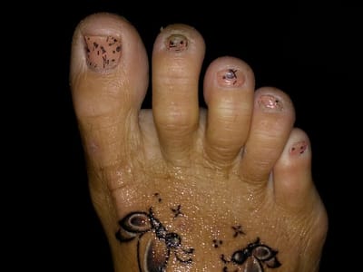 Hollywood Twisted Needles