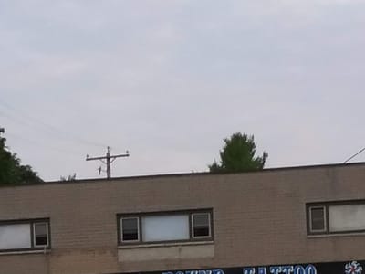 Homeward Bound Tattoo