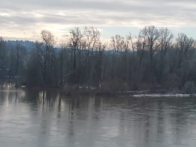 Hot Rod Betties Tattoo