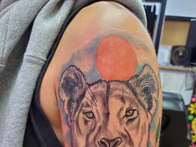 House of Ink Tattoo Studio