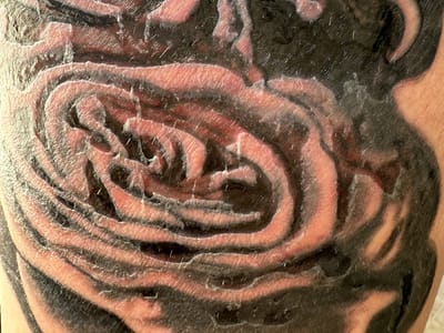 House of Pain Tattoo company