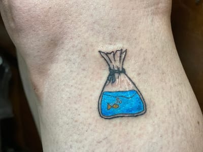 Illuminated Dahlia Studio