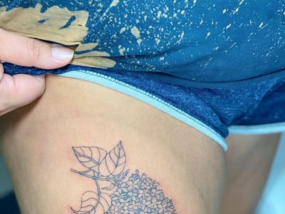 Illuminated Dahlia Studio