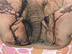 Imagine Ink Tattoo Studio