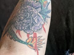 In Vivo Studios Tattoos and Piercings