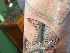 Independent Body Works