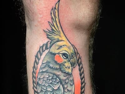 Infinium Studios - Tattoos & Piercings