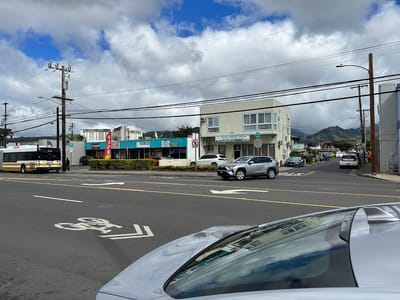 INK AND DREAMS HAWAII