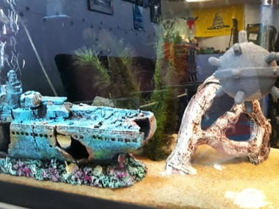 Ink Armory Art & Tattoo Studio