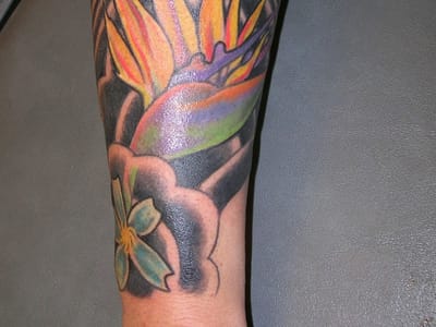 Ink Haven Tattoo And Piercings