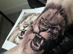 Ink Haven Tattoo Studio