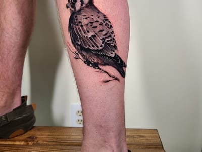 Ink Haven Tattoo Studio