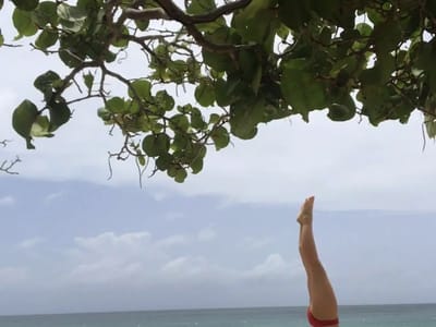 Ink Jam Tattoo Studio