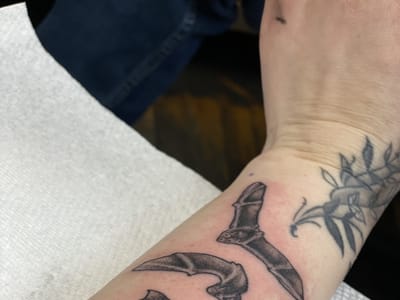 Ink Jam Tattoo Studio