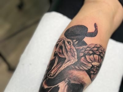 Ink Spot Creative Studios