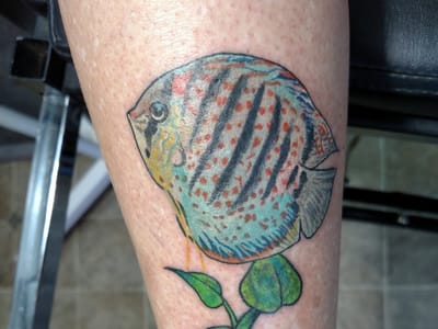 Ink Spot Tattoo Studio