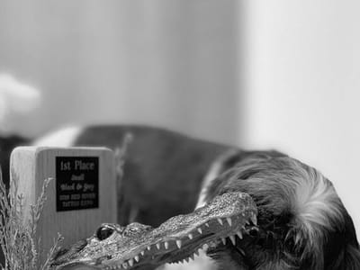 Inked Up Tattoo Studio