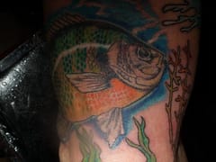 Inksanity Tattoo Studio