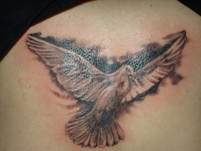 Inksanity Tattoo Studio