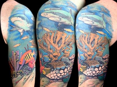 Inksomnia Tattoo and Body Piercing