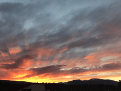 Iridescent Tattoo & Fine Art