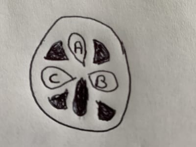 Iron Horse Tattoo Studio