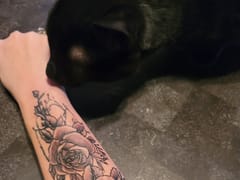 Iron Horse Tattoo Studio